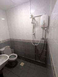 Normanton Park (D5), Terrace #556650781